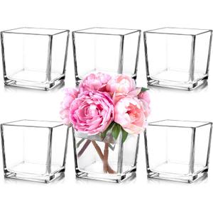 Set of 6 Square Glass Vases 5" x5" x 5", Clear Flower Vases for Centerpieces, Candle Holder for Wedding Party Events, Home Decor