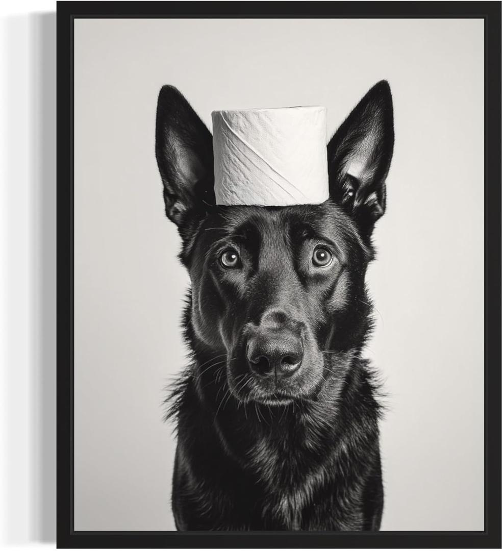 2 x Belgian Malinois Funny Bathroom Unframed Wall Art Print Poster, Dog Pet Lover Picture Painting Artwork Bedroom Living Room Office Dining Room 150B (Belgian Malinois Funny Bathroom, 20"L x 16"W, Unframed)