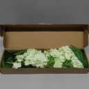 Waipfaru 21" Real Touch Hydrangea Artificial Flowers with Long Stem & Leaves, Full Latex Faux Hydrangea Flowers for Home Decor Party Floral Arrangements Wedding Bouquets Centerpieces, Green 3Pcs