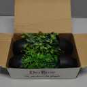 Der Rose Fake Plants 4 Packs Artificial Plants Small Faux Plants Black Bathroom Accessories for Halloween Bathroom Home Kitchen Coffee Table Office Desk Decor Indoor (Green)