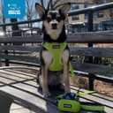 Best Pet Supplies Voyager Step-in Lock Pet Harness w Reflective Pet Leash Combo Set with Neoprene Handle 5ft - Supports Small, Medium and Large Breed Puppies/Cats - Turquoise Set, XS