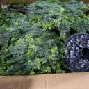 4FT Tall Artificial Cedar Topiary Trees Set of 2, Artificial UV Resistant Potted Plants, Faux Bushes Fake Shrubs for Outdoor Indoor Home Entryway Front Porch Garden Patio Offices Living Room Decor