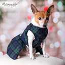 Parisian Pet Scottish Dog Dress - Festive Holiday Clothes for Large Dogs Girl - Plaid Green Pet Dress - Stylish Dog Wedding Outfit - Lightweight Puppy Clothes - Sleeveless Party Dresses for Dogs, S