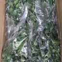 Faux Greenery Stems Plastic Artificial Boxwood, 20 Bundles Faux Boxwood Shrubs Outdoor Artificial Greenery UV Resistant for Farmhouse Office Garden Wedding Window Patio Porch Home Decor