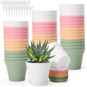 GREANER 48 Packs Succulent Pots, Colorful Small Flower Pots with Drainage Holes and Tray, Plastic Planters with 20 Pcs Plant Labels for Indoor Plants(4 Inch)