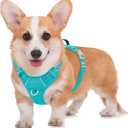 BARKBAY No Pull Dog Harness Large Reflective Dog Harness with Front Clip and Easy Control Handle for Walking Training Running with ID tag Pocket(Ocean Blue,M) (Medium)