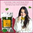 Senna Herbal Tea (100 gm/3.5 oz), Natural Herbal Infusion, 50 Tea Bags (EXP 01/31/27)
