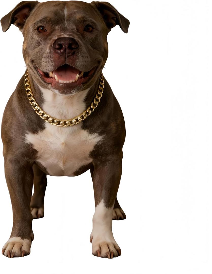 Gold Cuban Link Dog Chain Collar, Heavy-Duty, Fade-Resistant Metal Necklace for Durable & Stylish Pet Jewelry (Gold, 18"(Neck Fits 1417 in))
