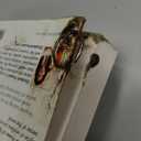 The Power of Enough: Finding Joy in Your Relationship with Money