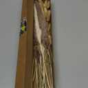 Dried Pampas Grass Decor, 100 Stems Pampas Grass Contains Bunny Tails Dried Flowers, Reed Grass Bouquet for Wedding Boho Flowers Home Table Decor, Rustic Farmhouse Party (17", White and Brown)