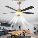 52 Inch Gold Ceiling Fans with Lights and Remote/APP, Modern Sleek Black and Gold Ceiling Fan, ETL Listed, Indoor Outdoor Smart Black Ceiling Fan for Bedroom Living Room Patio, 3CCT, 6 Speeds