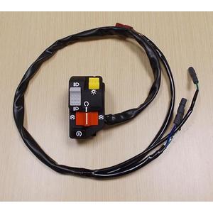 2002-2004 Honda TRX 250 TRX250 Recon Foot Shift Start Kill Light Switch