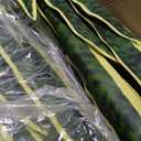 Crowye 4 Pack 3.15 Ft Tall Artificial Snake Plant Faux Sansevieria Plant Large Fake Snake Bulk in Pot for Home Office Housewarming Gift