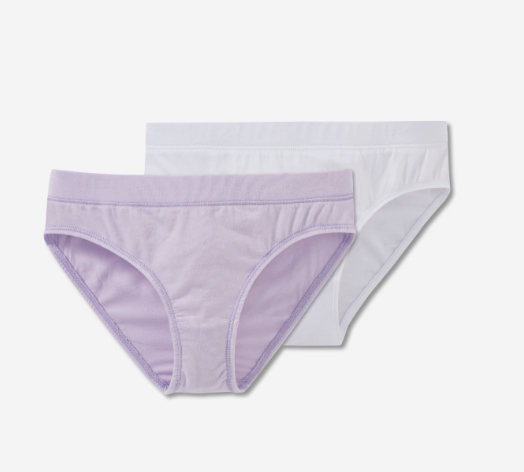 Fruit of the Loom Girls'  2-Pack Seamless Bikini Briefs Ultimate Comfort & Flexibility (Large)