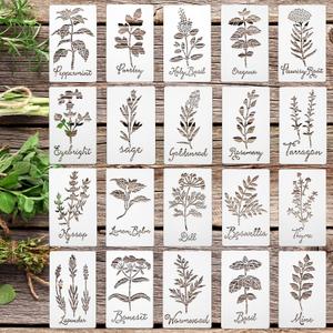 Jecery 20 Pcs Herb Stencils for Craft Painting on Wood Reusable DIY Craft Paint Template Herb Botanical Leaf Garden Kitchen Plant Stencils for Art Scrapbook Wall(7.87 x 4.72 Inches)