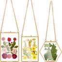 AVLA 3 Pack Pressed Flowers Glass Frames, Brass Hanging Picture Frames with Chain, Small Golden Floating Photo Frame, Clear DIY Artwork Display Frame for Wall Decor, Dried Plant Specimen