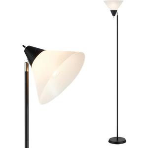 HonoDing Floor Lamp Standing Lamp Adjustable Head Arcylic Shade Floor Lamps for Living Room/Office/Bedroom (Black)