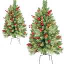 Christmas Tree 36 inch Prelit 2 Set Pathway Porch Christmas Trees Pre-Light LED Battery Operated Outdoor Xmas Decor for Entrance Driveway, Yard, Garden