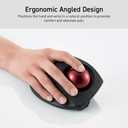 ELECOM DEFT PRO Trackball Mouse, Wired, Wireless, Bluetooth 3 Types Connection, Ergonomic Design, 8-Button Function, Red Ball, Windows11, MacOS (M-DPT1MRXBK)
