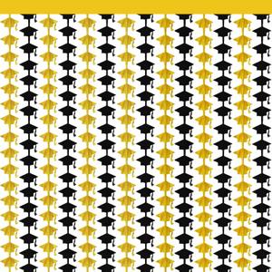 2 x Graduation Decoration 2026 2027 - Black Gold Graduation Cap Tinsel Streamers Backdrop Banner | Grad Photo Booth Props Party Favors Supplies Indoor Outdoor - Graduation Party Decorations