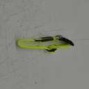 Illumifun LED Dog Collar, USB Rechargeable Light Up Dog Collar Glow in The Dark (Green, Medium)