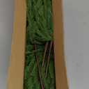 24 Pcs Real Touch Norfolk Pine Branches Christmas Decorations, 18 Inch Norfolk Pine Stems Greenery Xmas Picks Artificial Plants Home Decor for Vase DIY Garland Wreath Evergreen Winter Decor