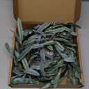 LITBLOOM Lighted Olive Garland Battery Operated with Timer 96 Fairy Lights 6FT, Artificial Greenery Twig Vine Lights for Christmas Spring Fireplace Mantle Decoration Indoor Outdoor