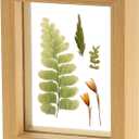 uxcell Wooden Pressed Flower Frame Handmade, 4x5 Inch Rectangle Floating Picture Frame Double Glass Frame for Pressed Flowers Artwork Photo Frame Tabletop Display, Natural Wood