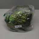 JOYIN 62 Giant T.rex Dinosaur Inflatable for Party Decorations, Birthday Party Gift for Kids and Adults, Dinosaur Pool Toys (Over 5Ft. Tall)