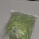 CLIONE Green Wigs for Women Short Wavy Bob Wig with Bangs Shoulder Length Natural Wavy Synthetic Wig Short Fluffy Bob Curly Wigs Cosplay Party Costume WigsMix Green 14 Inch