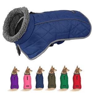 Fragralley Winter Coat - Windproof, Adjustable, Waterproof, Turtleneck Fleece Jacket for Dogs in Cold Weather (Blue, L)