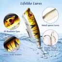 Advent Calendar Fishing Christmas Countdown, Fishing Lure Advent Calendar 2025 Adult Teen, 24 Days Fishing Lures Set, Xmas Surprise Presents for Anglers