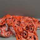 Bandana Colorful Red Paisly Fleece Throw Blanket Warm Super Soft Cozy Fuzzy Blanket Lightweight for Couch,Sofa,Bed All Season (80"x60")