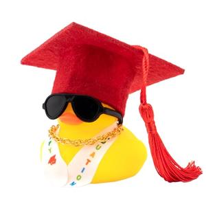 wonuu 2025 Car Dashboard Decorations Rubber Ducks, Car Ornament Ducky with Graduation Hat, Glasses, Necklace, Sash, for Doctor, Master, Bachelor, Red