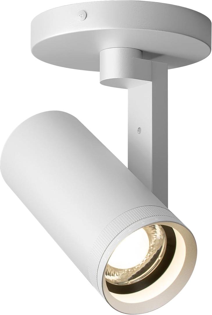 Aisilan White LED Zoomable Ceiling Spotlight 12W Dimmable Adjustable Beam Angle 10-55 Swivelable Angle CRI 97 Matt Aluminum Accent Lamp for Corridor Mural Living Room, Warm White 3000K