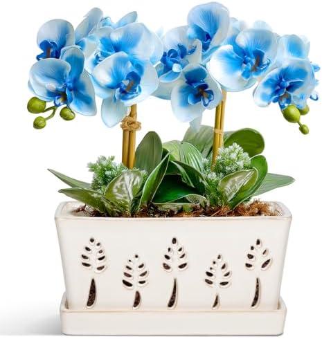 BUYMAX 10 Inch Rectangle Ceramic Orchid Pots with Holes, Heavy Duty Handmade Ceramic Plant Pot with Drainage and Saucer, Accommodate 2 Orchids, Enhance Good Ventilation White