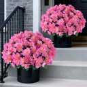 Juxdp 2 Sets of Artificial Camellia Topiary Ball Trees - Fake Flower Potted Plants, UV Resistant Faux Camellia Potted Bushes for Front Door, Farmhouse, Porch, Garden, Outdoor Decoration (Pink)