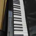 Donner Piano Keyboard 88 Keys, Beginner Digital Piano Velocity-Sensitive Keys, Portable Electric Piano with Stand, Sustain Pedal, Carrying Case and Keyboard Stickers, DEP-1, Compact