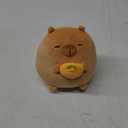 Caaaat Scented Stuffed Animal, Cute Capybara Scented Plush with 2 Fresh Orange Scented Microbeads, Squishy Plushies Hugging Plush Decor Pillow for Boys & Girls