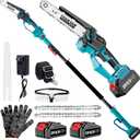 2-in-1 Cordless Pole Saw & 8'' Mini Chainsaw with Extension Pole for Tree Branches, Electric Handheld Chain Saw with 221V 4.0Ah Rechargeable Batteries,Auto Oiling,Max 16Ft Saw for Tree Trimming