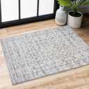 2x3 Washable Rugs Grey Blue White Small Area Rug for Entryway, Soft Non-Slip Indoor Door Mat Distressed Floral Low-Pile Neutral Vintage Carpet for Dorm Entrance Bedside Farmhouse