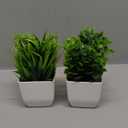 DomeStar 2PCS Small Plants Indoor, Faux Potted Plants Spring Greenery for Home Decor, Desktop Shelf, Bathroom Kitchen Office