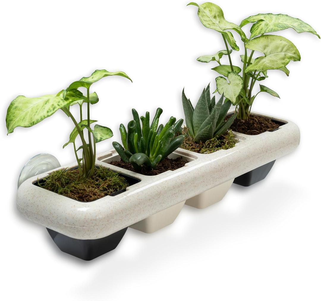 EcoFriendly Wheat Fiber No Plastic Planter. Floating Window Shelf for Plants & Herb Garden with Removable Pots (Black Pots)