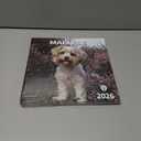 4 x windrio 2026 Wall Calendar, Calendar 2026, July 2025 - December 2026, Wall Calendar Maltese, 12" x 24" Opened,Full Page Months Thick & Sturdy Paper for Calendar Organizing & Planning