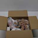 Ganeed 20" Boho Fandelier Ceiling Fan with Light, Rattan Caged Ceiling Fan with Light and Remote Control, Quiet Reversible Motor Enclosed Low Profile 6 Speeds for Bedroom Living Room Porch Kids Room