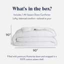 Brooklinen Down Comforter for Warm Sleepers, Machine Washable - Full/Queen