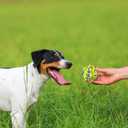 GLURUITE Dog Toys for Aggressive Chewers 4 Pack ETPU Material Prick Ball Bite Resistant Pet Chew Toys 2.55 in Colorful Interactive Dog Ball Suitable for Small Medium Dogs