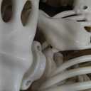 CAMIRUS 5.4ft Skeleton Halloween Decoration, Life Full Size Skeleton with Dog Skeleton, Posable Human Skeletons Realistic Plastic Bones for Halloween Haunted House Scary Decor