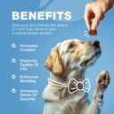 Hemp Calming Chews for Dogs - Dog Calming Treats - Anxiety Relief for Dogs with L-Theanine, Chamomile Extract, Valerian Root - Dog Anxiety Relief for Travel, Vet Visits, Thunderstorms, Nail Trimming (180 count)
