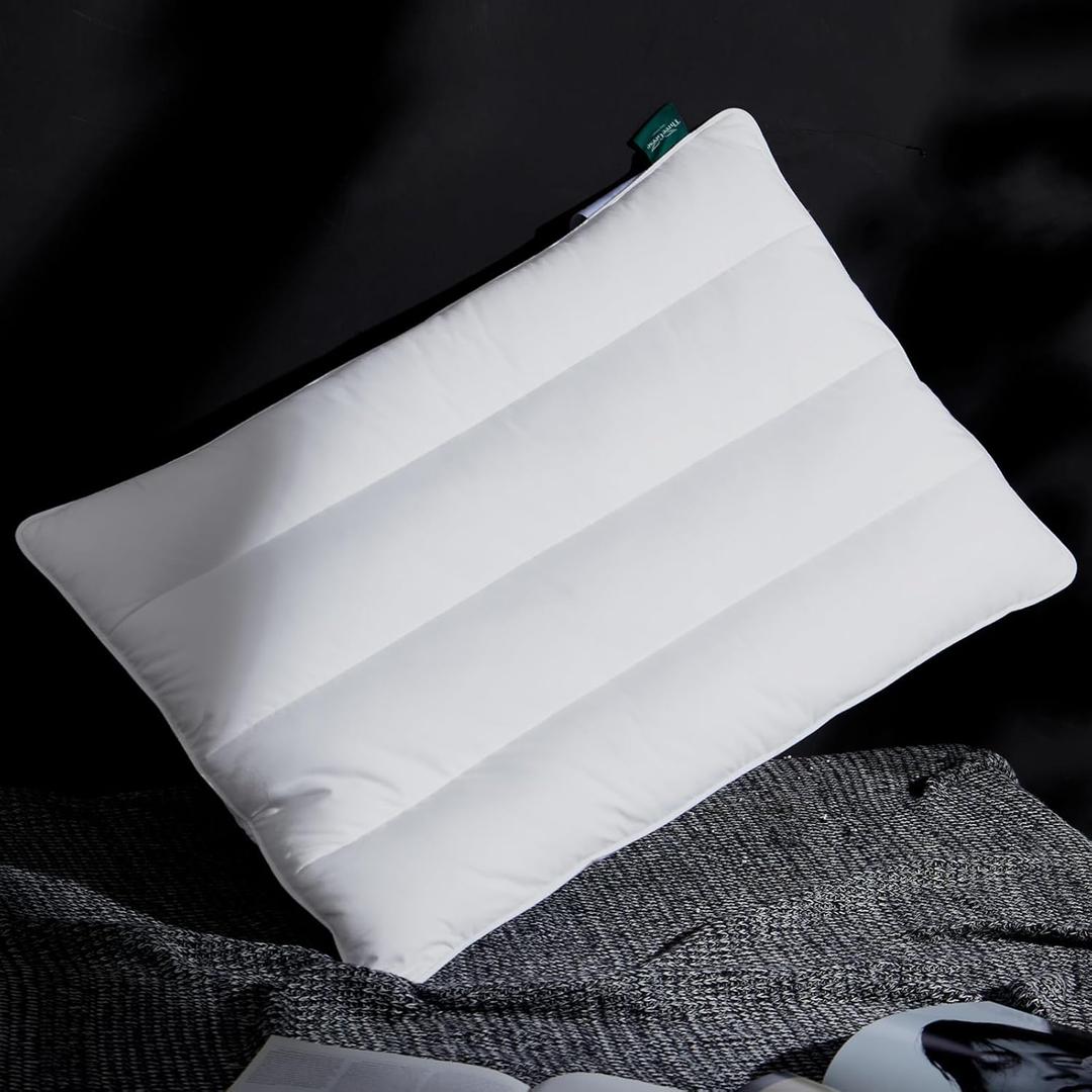 Three Geese Luxury Flat Thin Goose Feather Down Pillows Standard Size, 2.5" Height, 100% Cotton Cover, Medium Firm Hotel Collection Ultra Slim Thin Bed Pillows, Machine Washable, 18 x 26 Inches